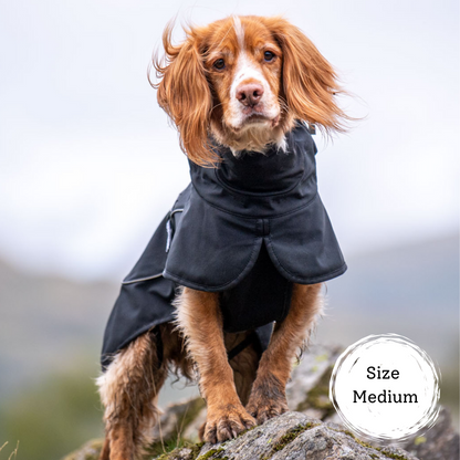 cocker spaniel wearing black dog coat with reflective strips. Dog coat has high neck to keep your dog warm and dry. Softshell fabric means freedom of movement and stylish fit.