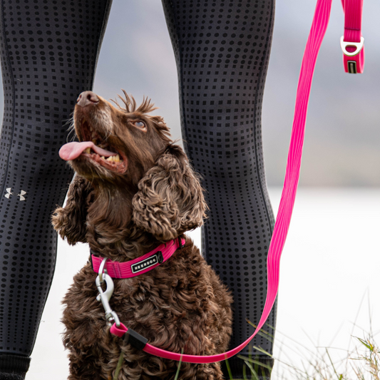 Stink-Proofed Lead - Cosmos Pink