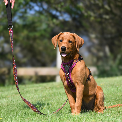GO-CEE | Dog Lead | Dahlia