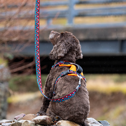 GO-CEE | Dog Lead | Zinnia