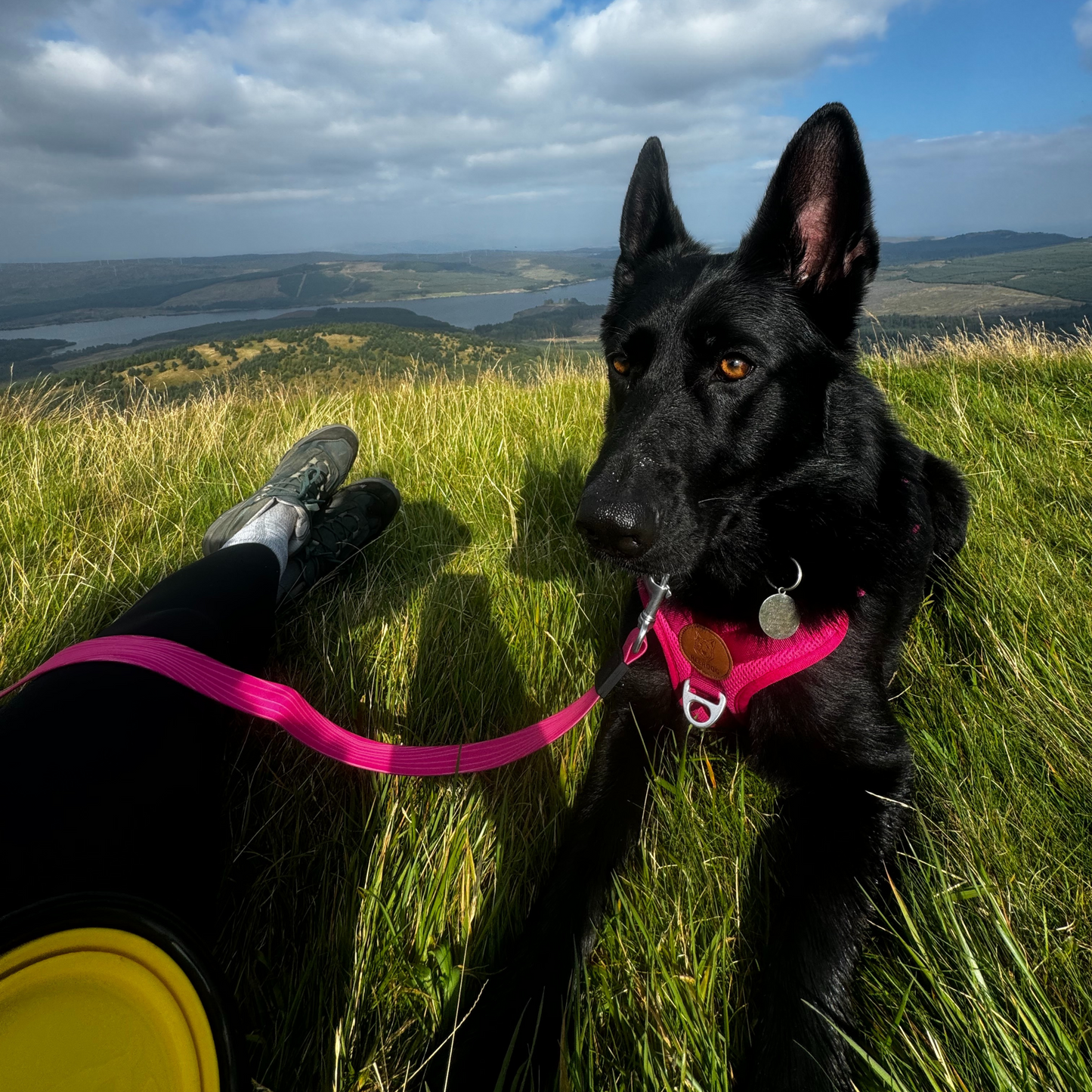 Stink-Proofed Lead - Cosmos Pink