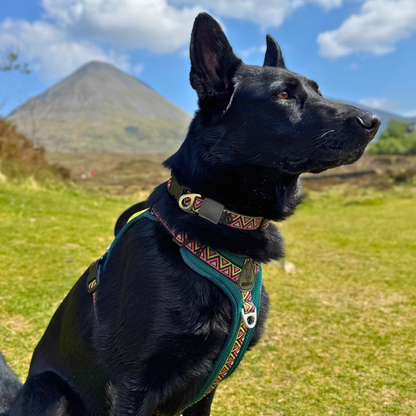 Go-B-Bold Airflow Harness - Lantana