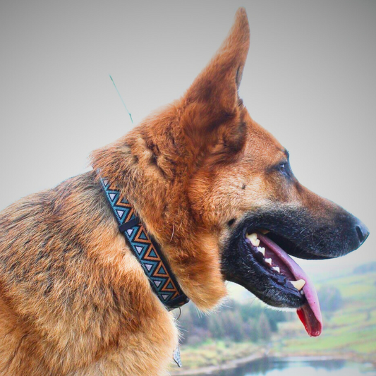 Go-Cee Hollyhock Collar