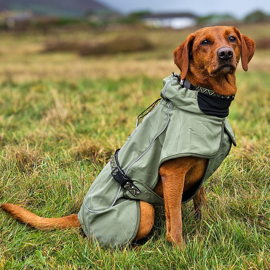 RAIN DEFENDER | Reflective Dog Coat | Green