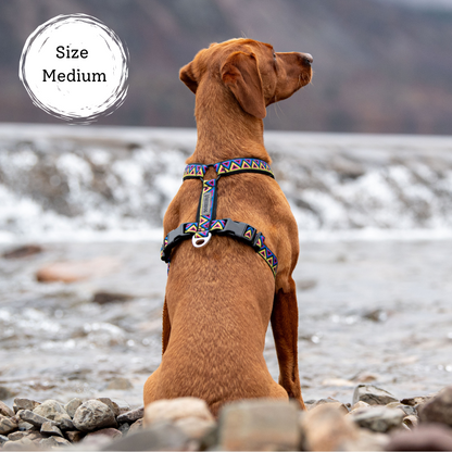 labrador wearing go-cee y harness, perfect dog hiking harness. Made for adventures, comfortable to wear for hours even when wet. Stylish and high-quality.