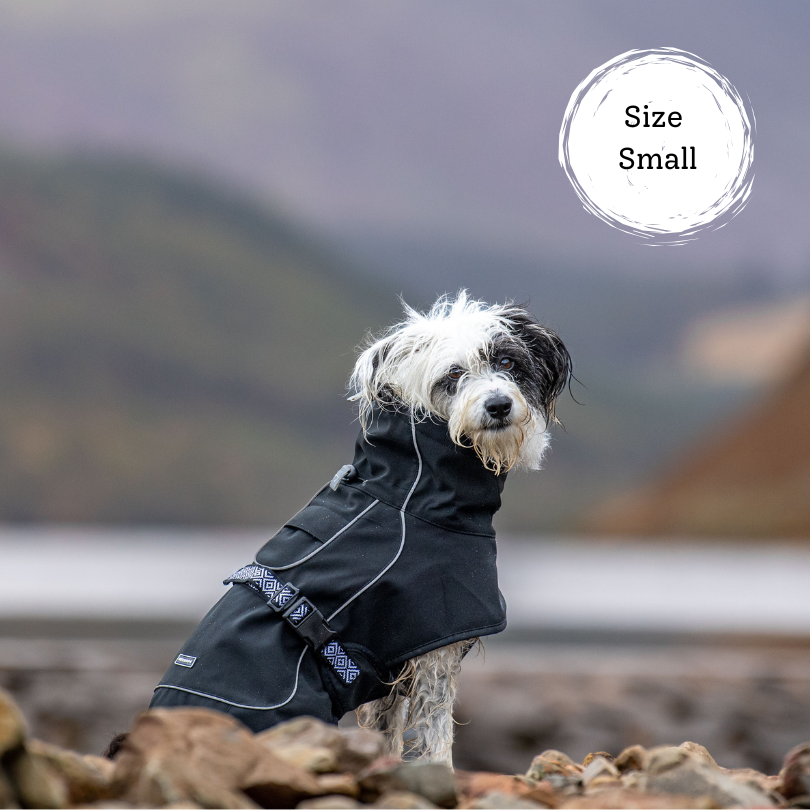 Hiking dog sat wearing a softshell dog coat that is fleece lined. Very high quality material, allows free movement and keeps dog warm and dry.