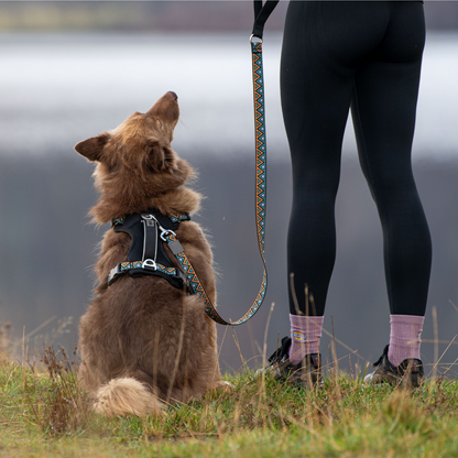 GO-B-BOLD Airflow Harness - Hollyhock