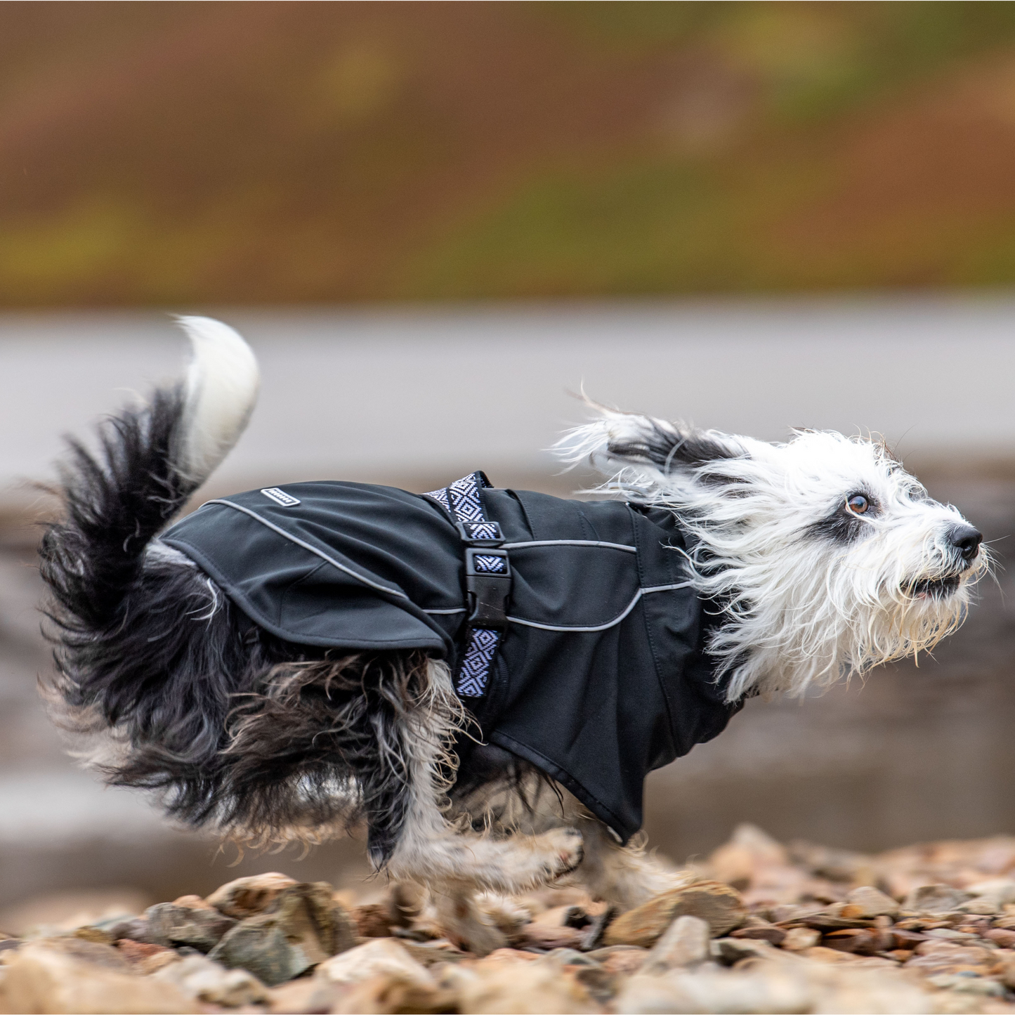 Rain-Defender Coat